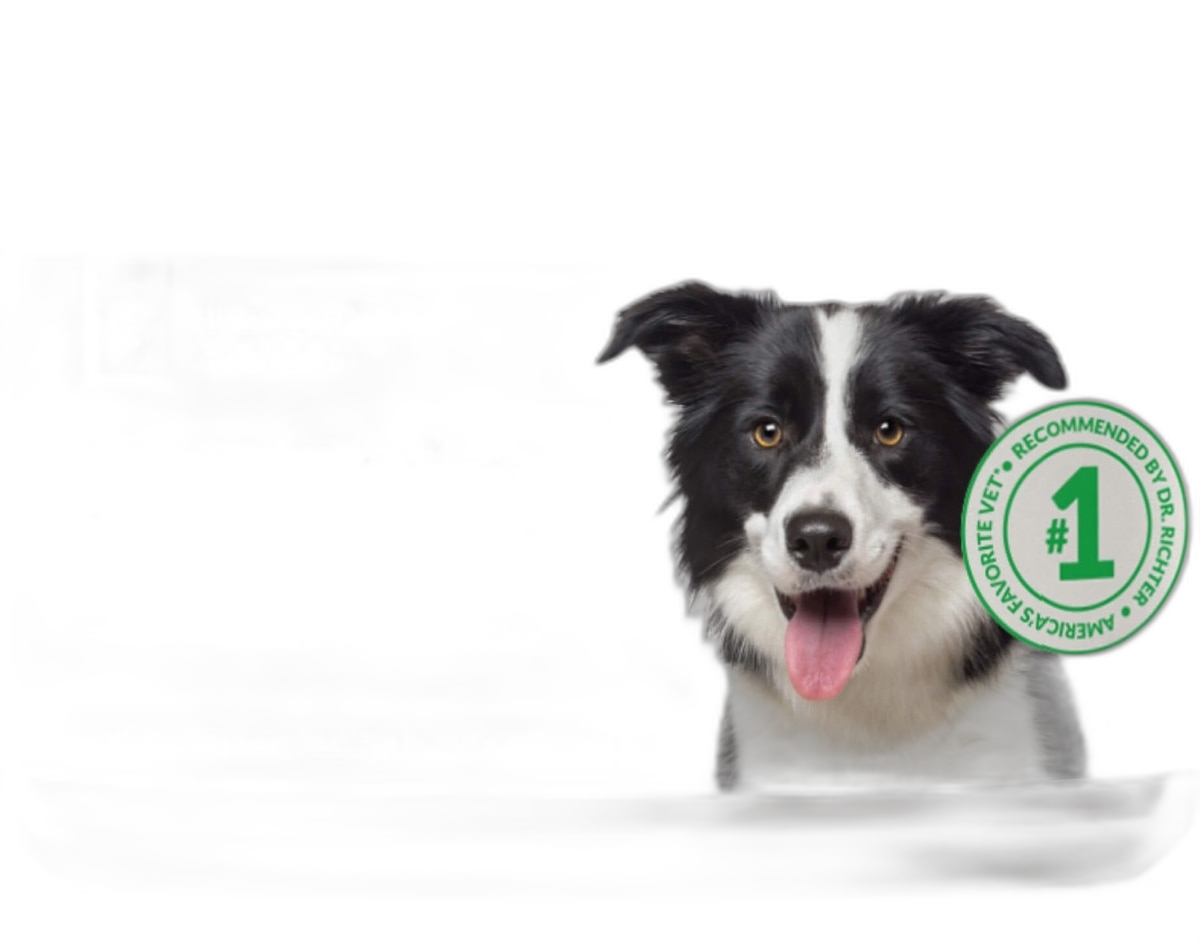 40 in 1 Dog Vitamins and Supplements Chewable pet supplement