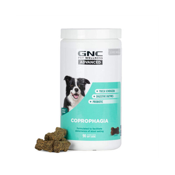 GNC Pets Advanced Multivitamin Soft Chews for Dogs pet supplement
