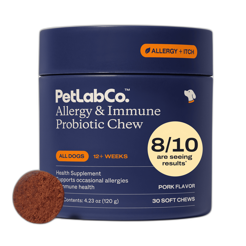 K9 Natural Digestive Health Supplement for Dogs pet supplement