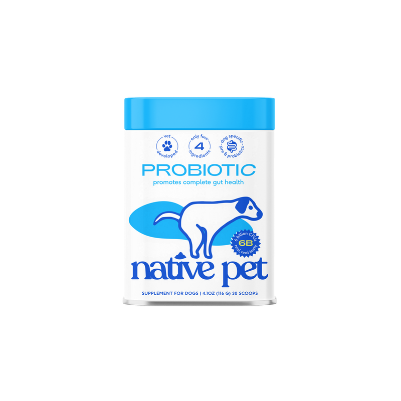 Native Pet Bone Broth Dog Food Topper pet supplement