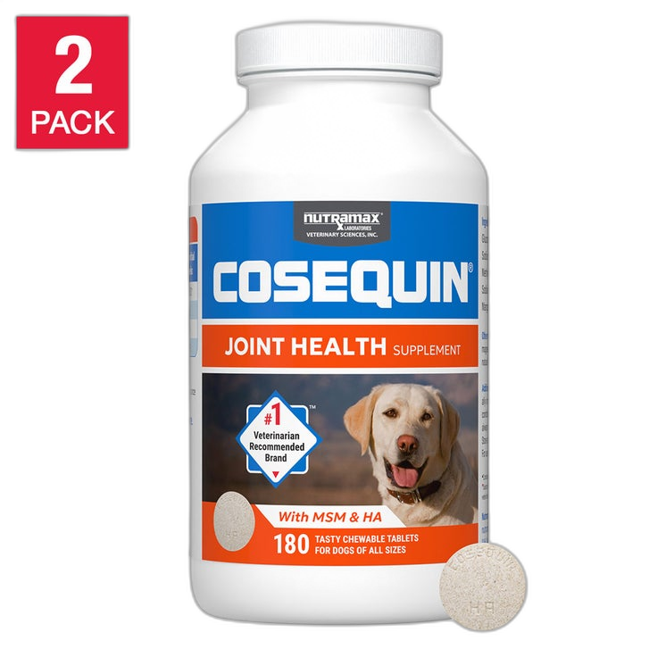 Nutramax Cosequin Joint Health Plus MSM & HA for Dogs