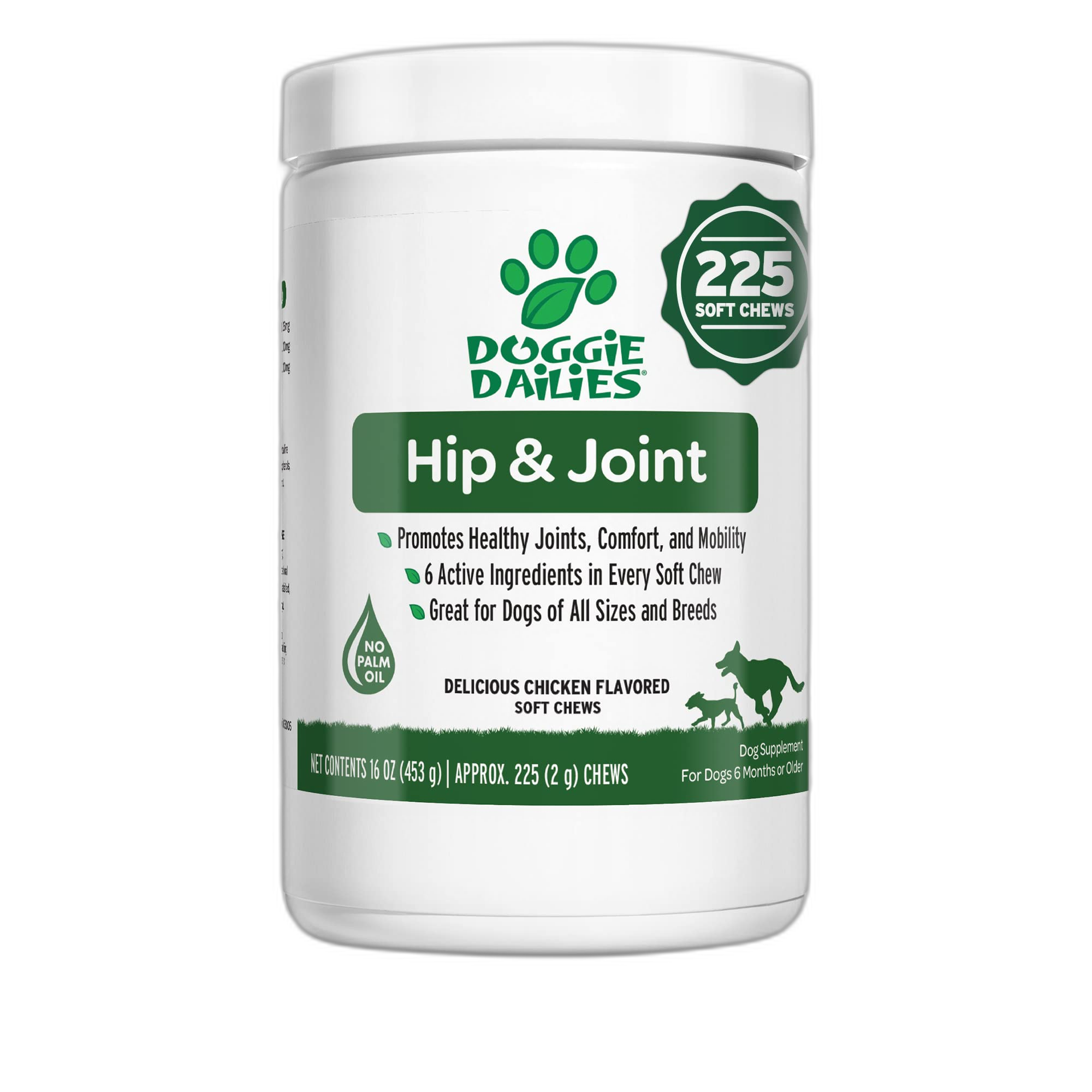 Nutramax Proviable-DC Digestive Health Supplement for Dogs and Cats