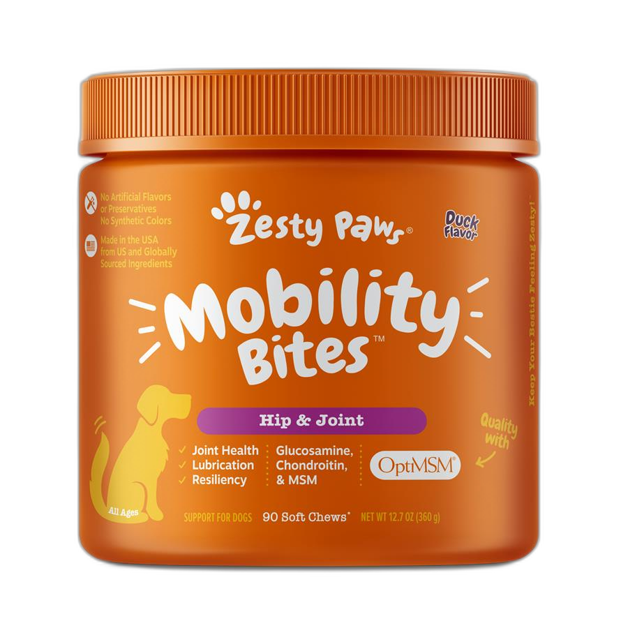 Nutramax Welactin Omega-3 Fish Oil Skin and Coat Health Supplement for Dogs by Nutramax