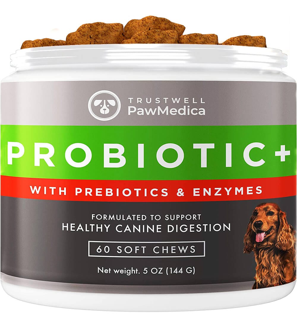 PawMedica Healthy Digestion Probiotic Chews for Dogs
