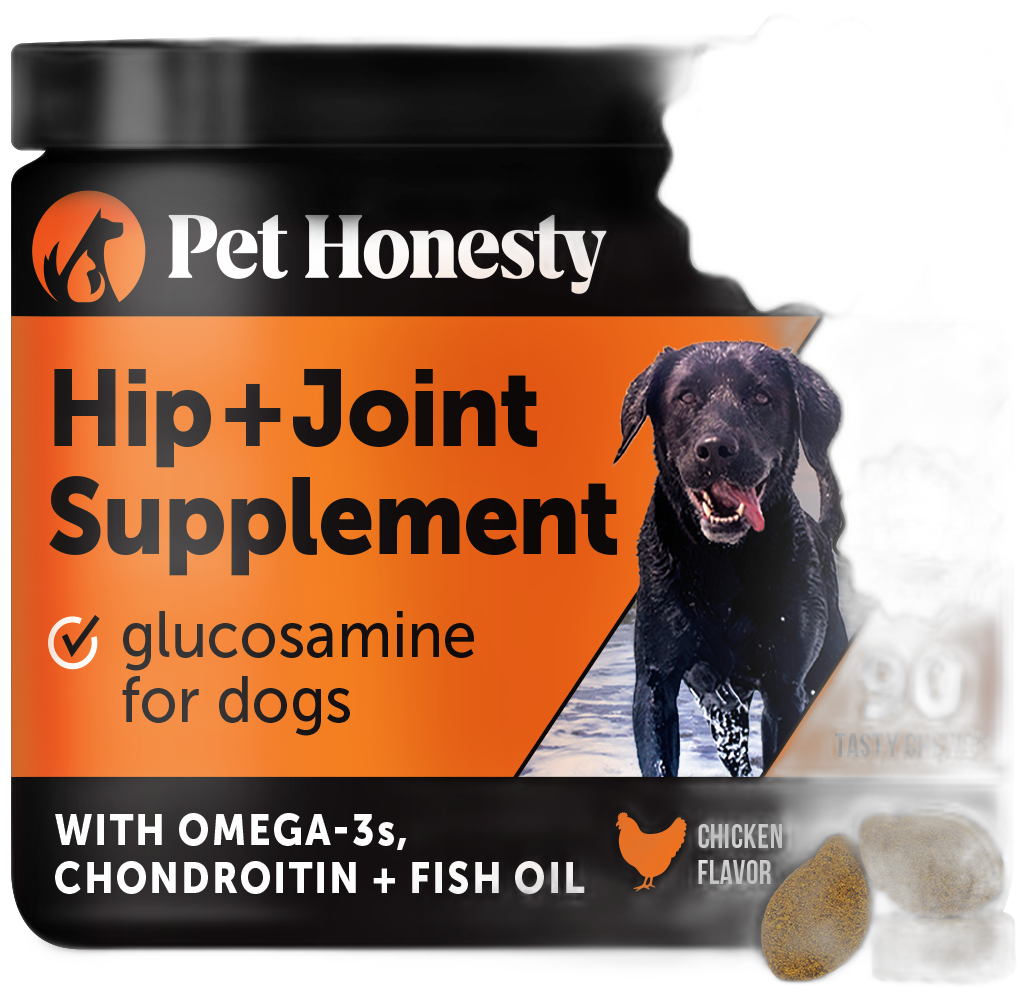 Pet Honesty Hip & Joint Supplement Chicken Flavored Glucosamine & Chondroitin with MSM, Turmeric Hip & Joint Chews for Dogs by Pet Honesty