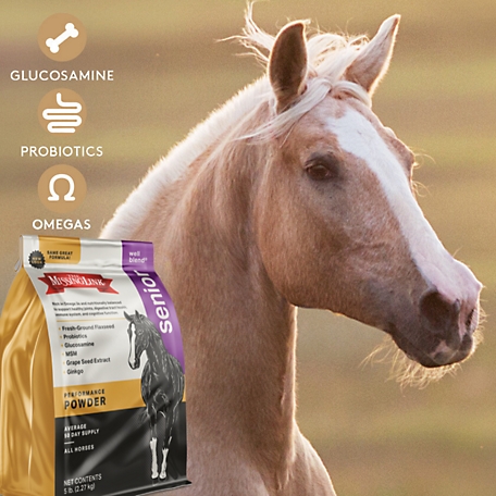 Absorbine Proios Probiotic & Prebiotic Horse Supplement by Absorbine