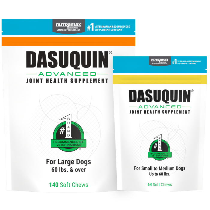 Advanced Hip & Joint Supplement for Dogs by Nutramax Dasuquin