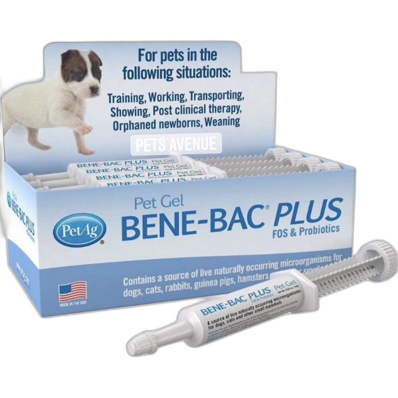 Benebac Plus Pet Gel Probiotic pet supplement