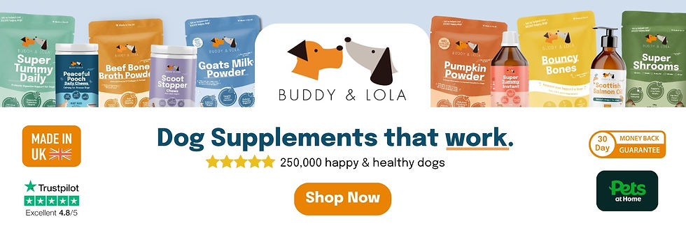 Buddy & Lola Senior Dog Joint Supplement pet supplement