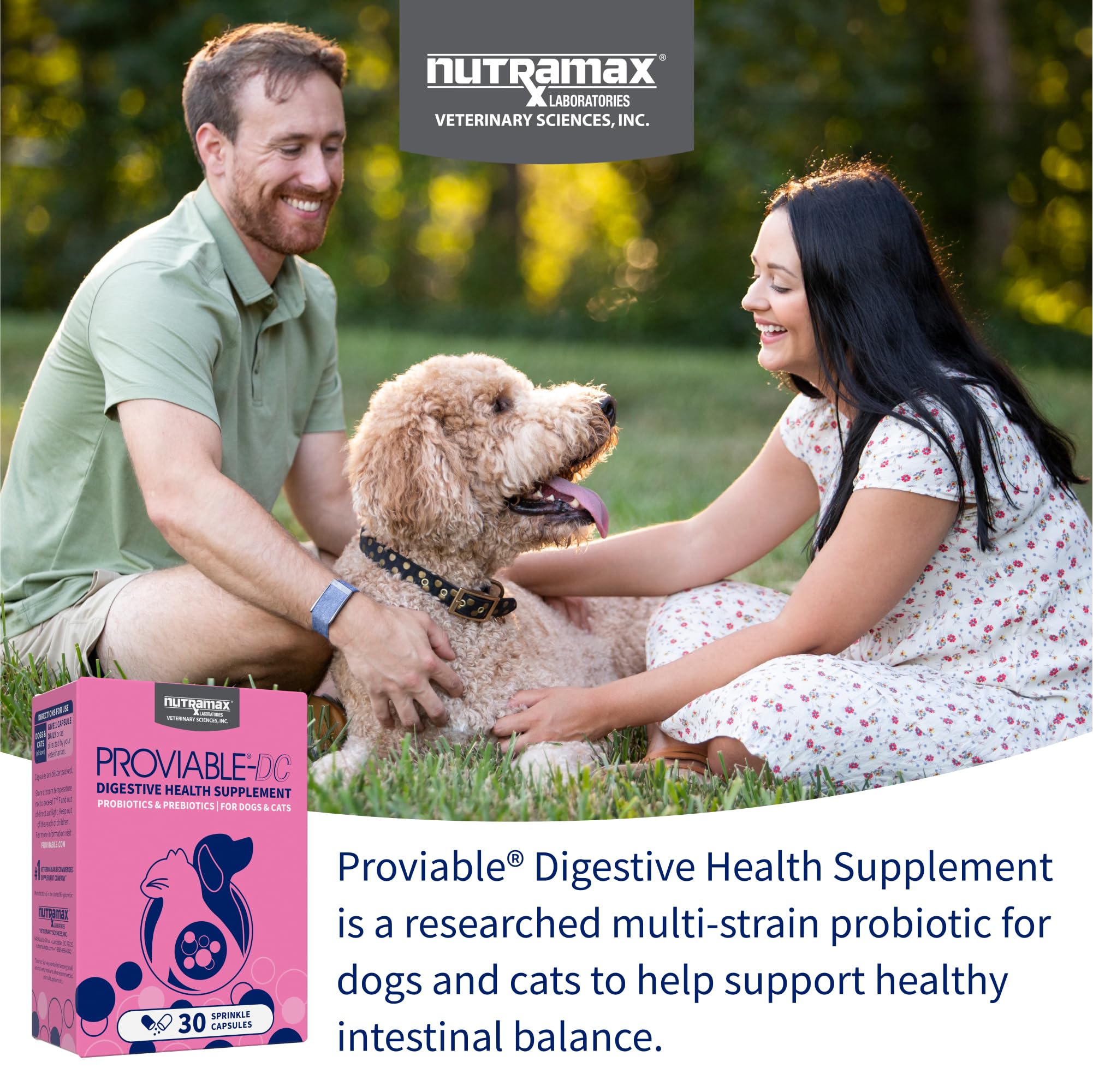 Digestive Support for Cats pet supplement