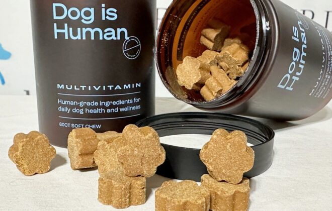 Dog Is Human Multivitamin Soft Chews