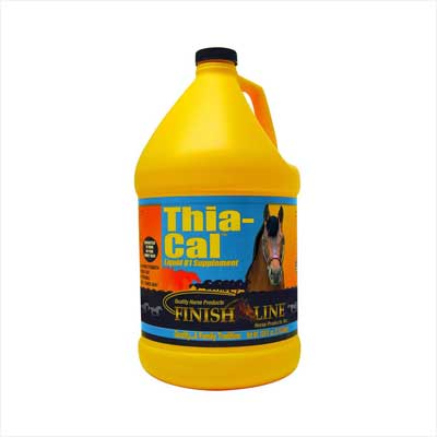 Finish Line Quia-Cal Calming Paste Horse Supplement, 1-oz syringe