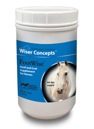 Kentucky Performance Products FootWise horse hoof & coat supplement