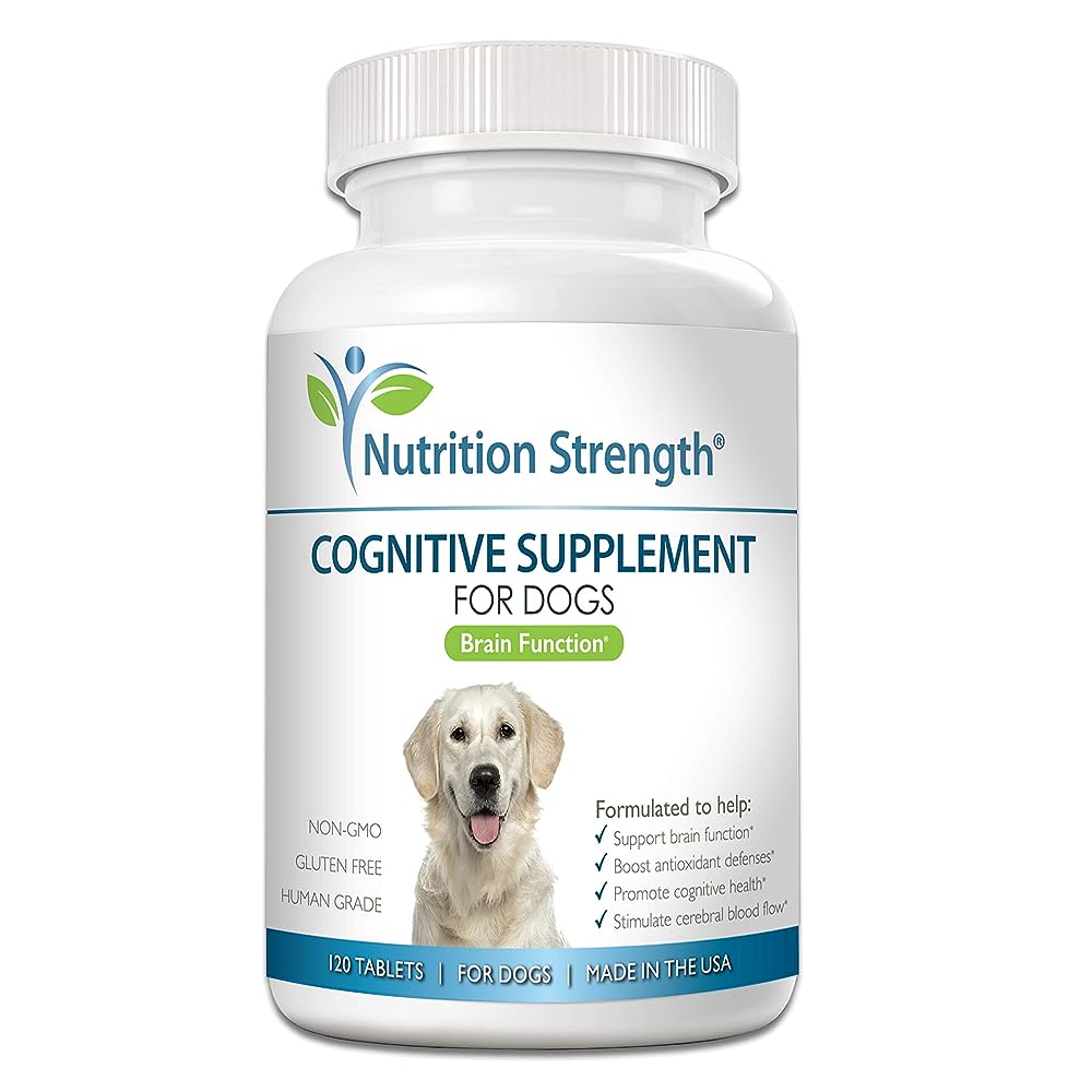 Kinpur Brain & Cognitive Support for Senior Dogs - Memory, Focus & Alertness Enhancer with Ginkgo & B Vitamins pet supplement