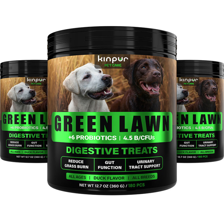 Kinpur Immune Booster for Dogs - Daily Soft Chews with Probiotics & Prebiotics