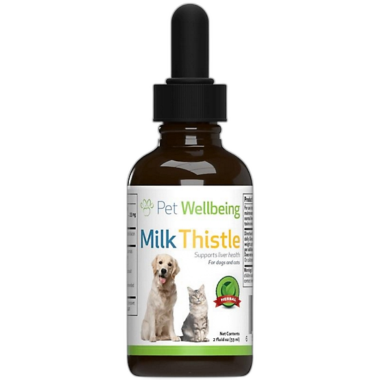 Milk Thistle for Dogs & Cats