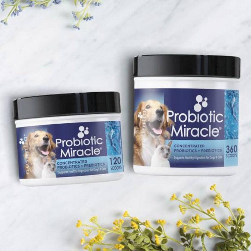 Nusentia Probiotic Miracle Dog and Cat Probiotic