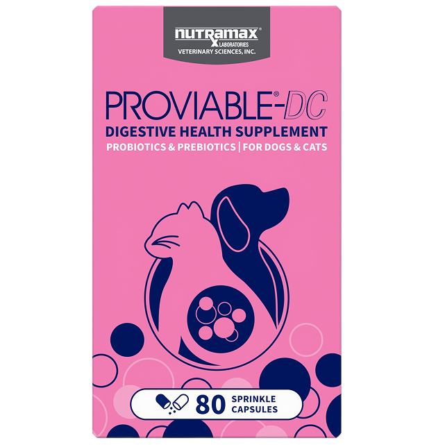 Nutramax Proviable-DC Probiotic