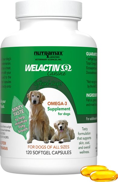 Nutramax Welactin Omega-3 Fish Oil Skin and Coat Health Supplement for Dogs
