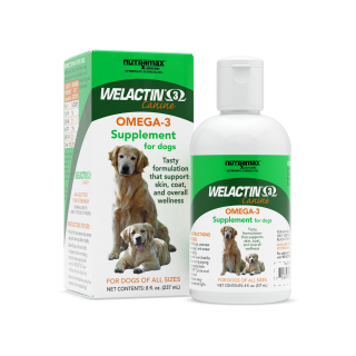 Nutramax Welactin Omega-3 Supplement Liquid for Dogs