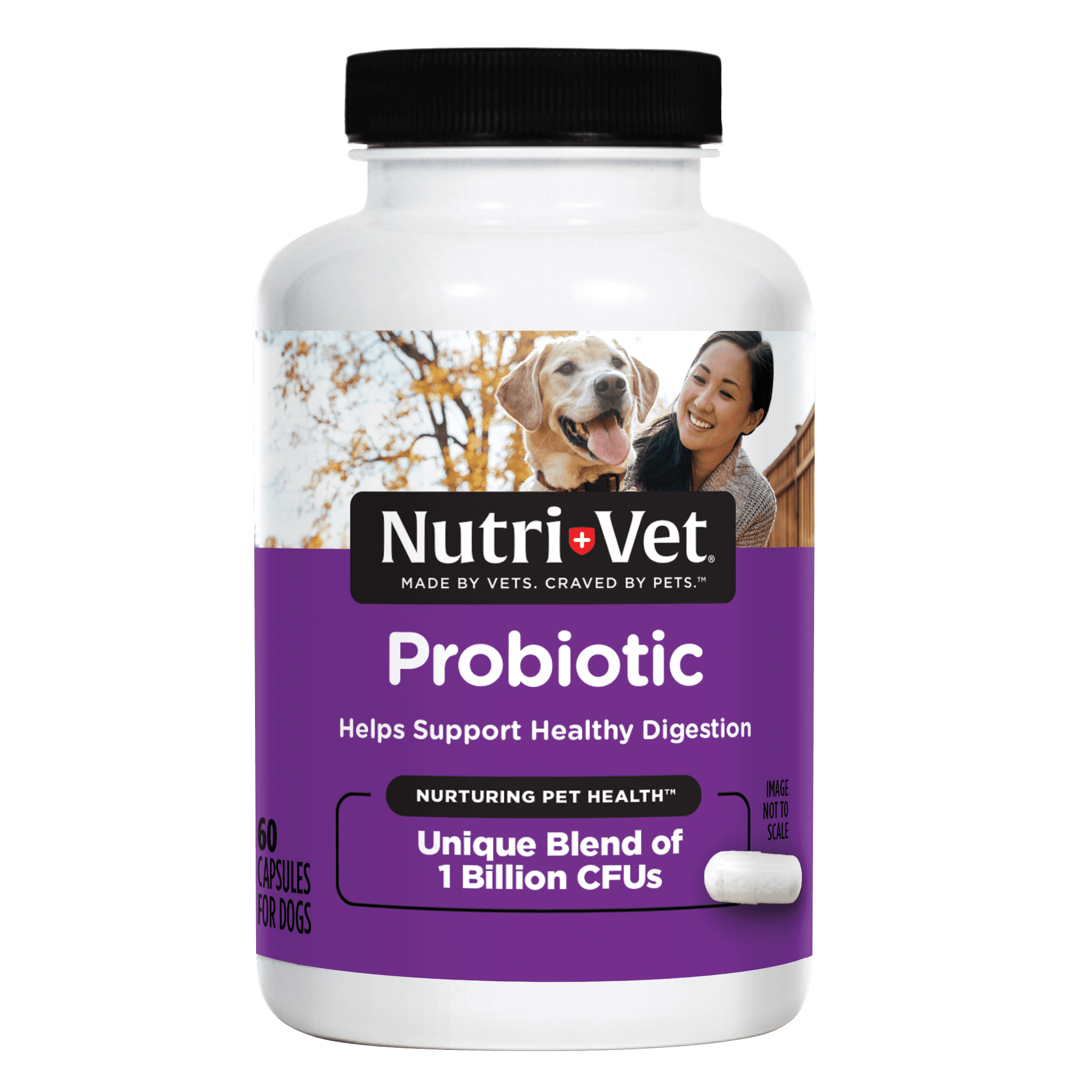 Nutri-Vet Probiotics for Dogs