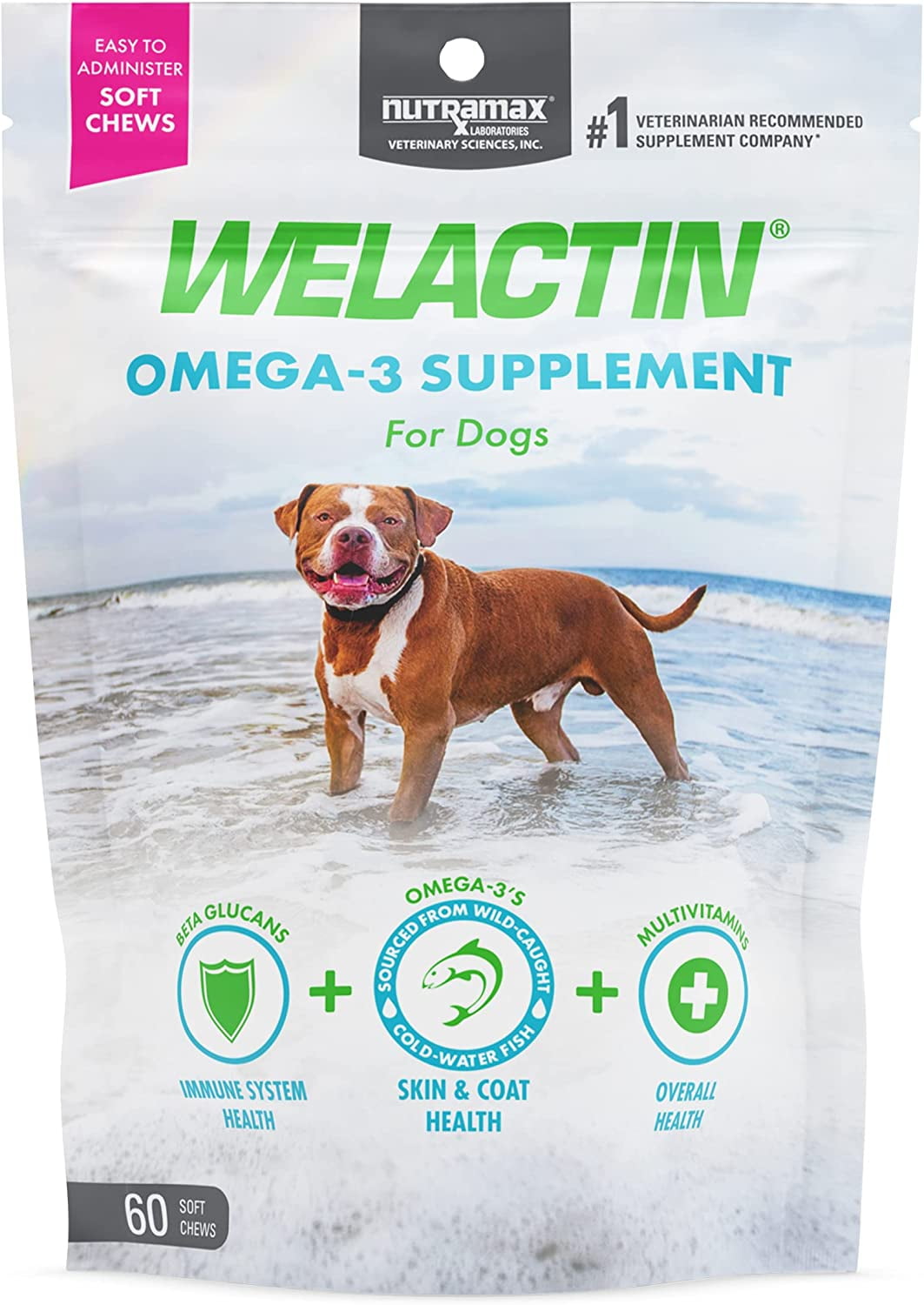 Omega-3 Skin & Coat Chews for Dogs