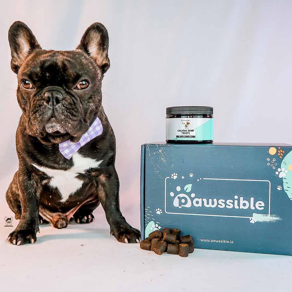 Pawssible calming hemp dog treat made of a premium grade hemp powder with zero THC. Manufactured in the U.S. Water soluble formula, easy to absorb. by Pawssible