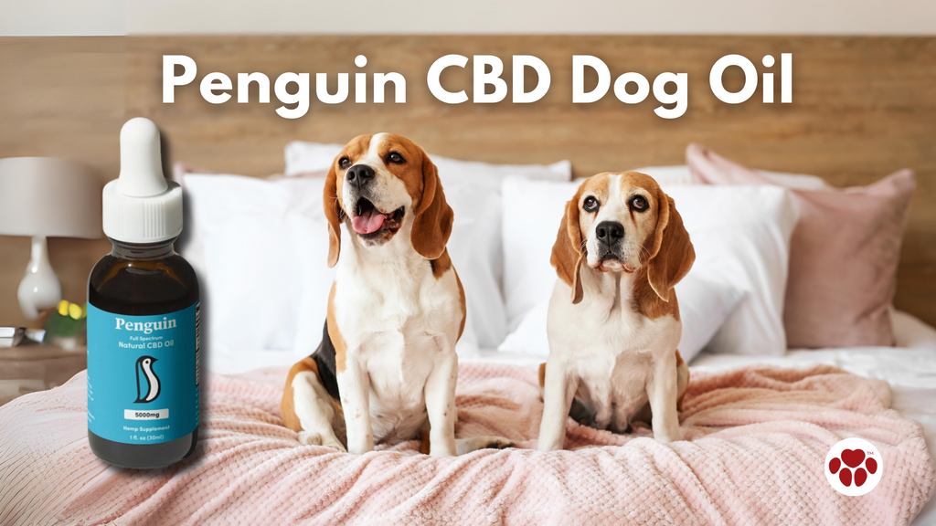 Penguin CBD Dog Oil pet supplement