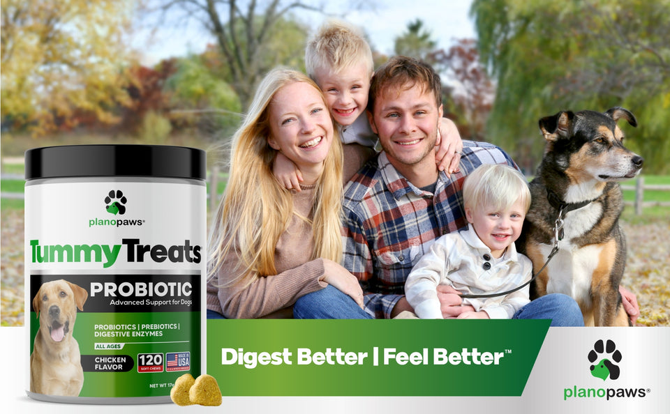 Plano Paws Tummy Treats Probiotic for Dogs