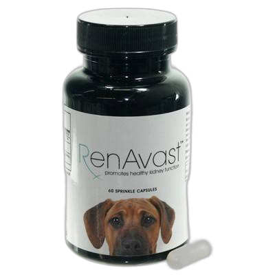 RenAvast Kidney Support for Cats