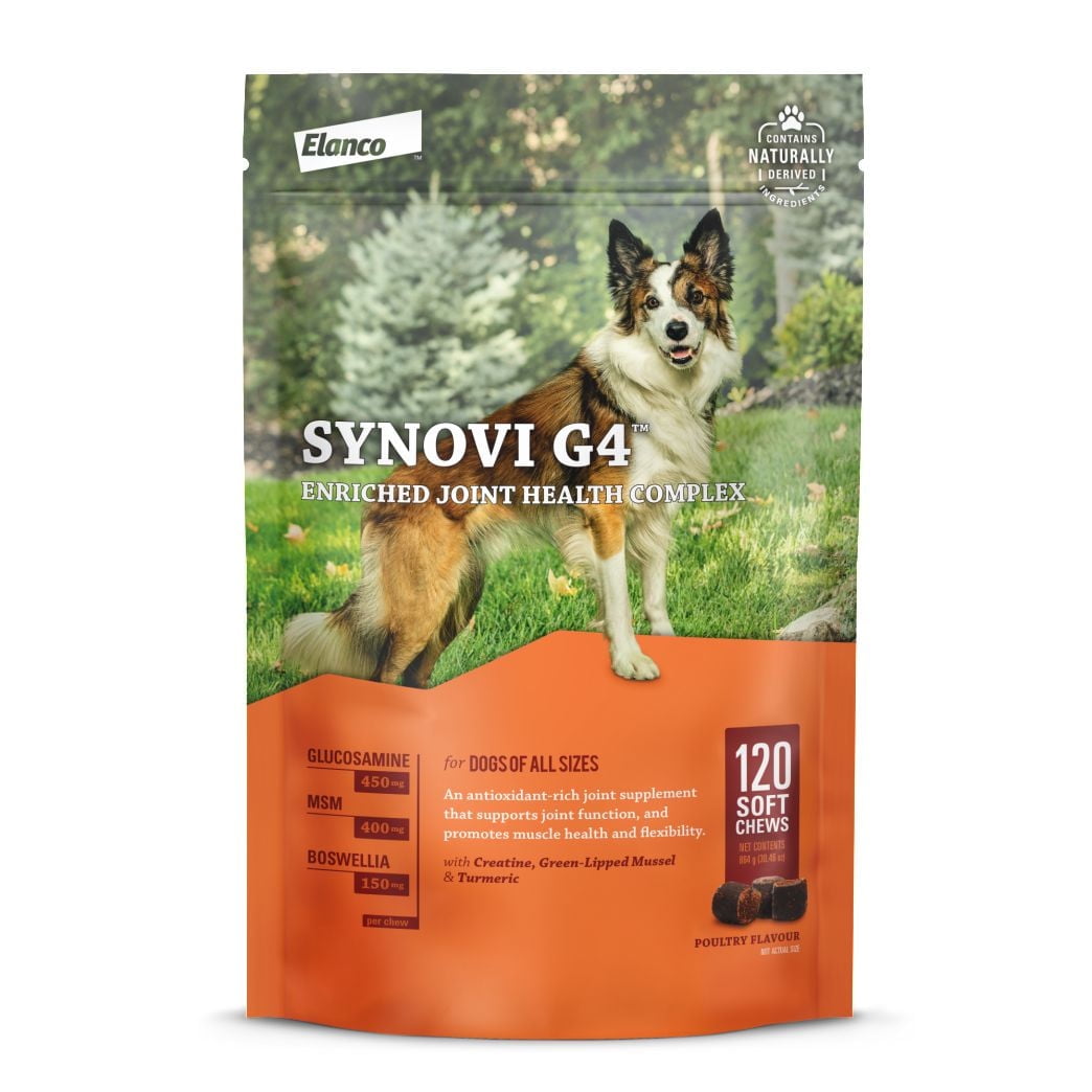 Synovi G4 Dog Joint Supplement by Synovi G4