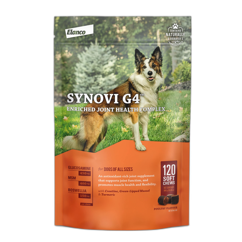Synovi G4 Joint Health for Dogs