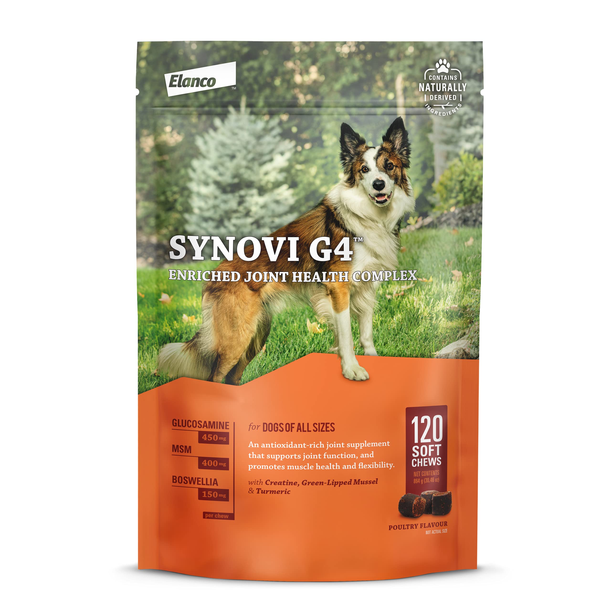 Synovi G4 Joint Health for Dogs by DVM Pharmaceuticals
