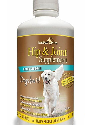 TerraMax Pro Probiotic for Dogs with Digestive Enzymes - Made in USA