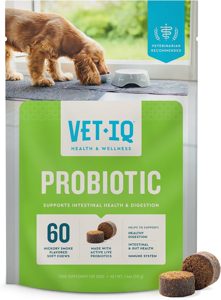 VetIQ Probiotic Soft Chews for Dogs by VetIQ
