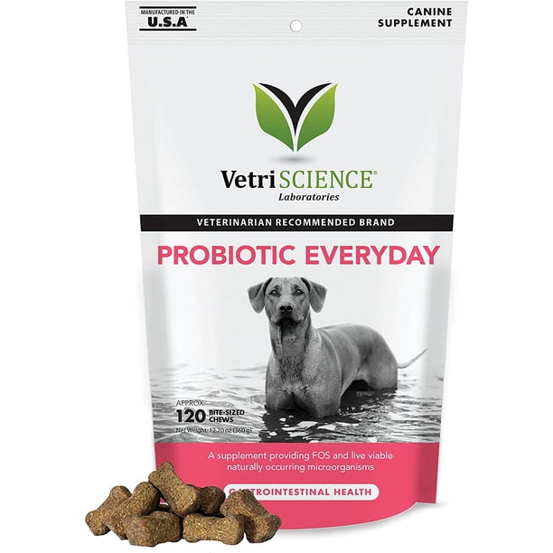 VetriScience Laboratories Probiotic Everyday for Dogs pet supplement