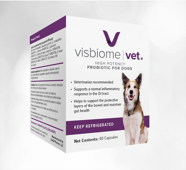 Visbiome Vet High Potency Probiotic for Dogs pet supplement