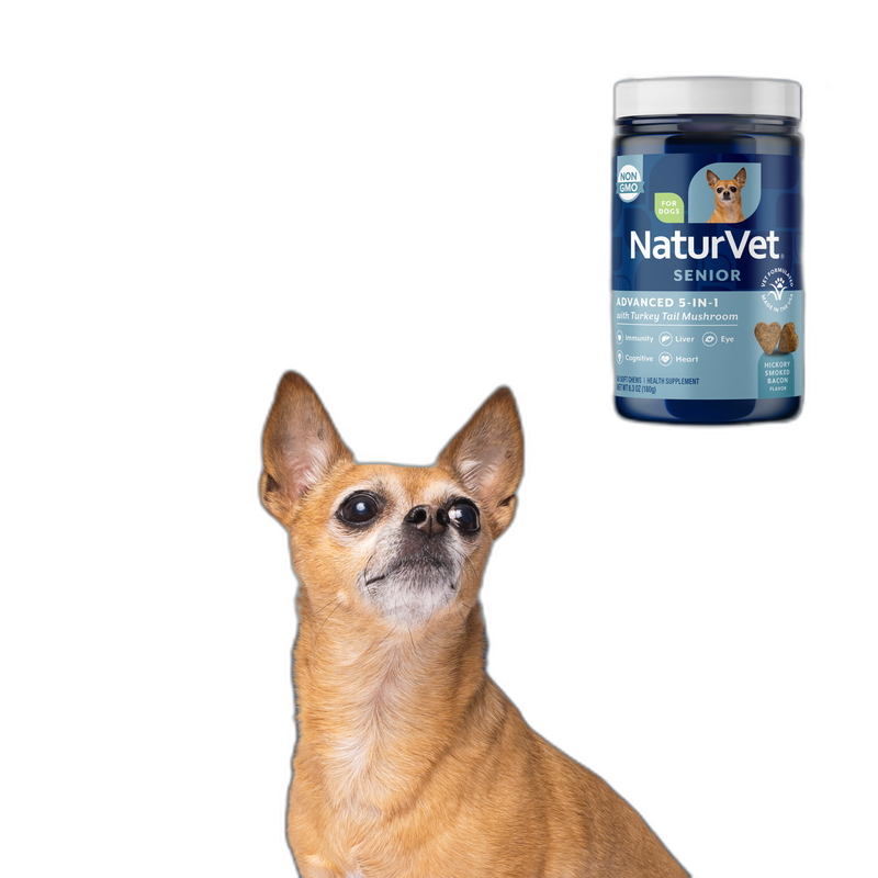 Senior Gold Cognitive Support for Aging Dogs