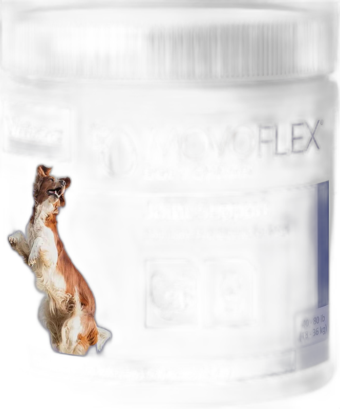 Movoflex Joint Support Soft Chews for Dogs