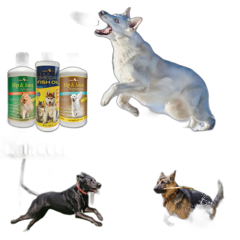TerraMax Pro Hip & Joint Supplement for Dogs