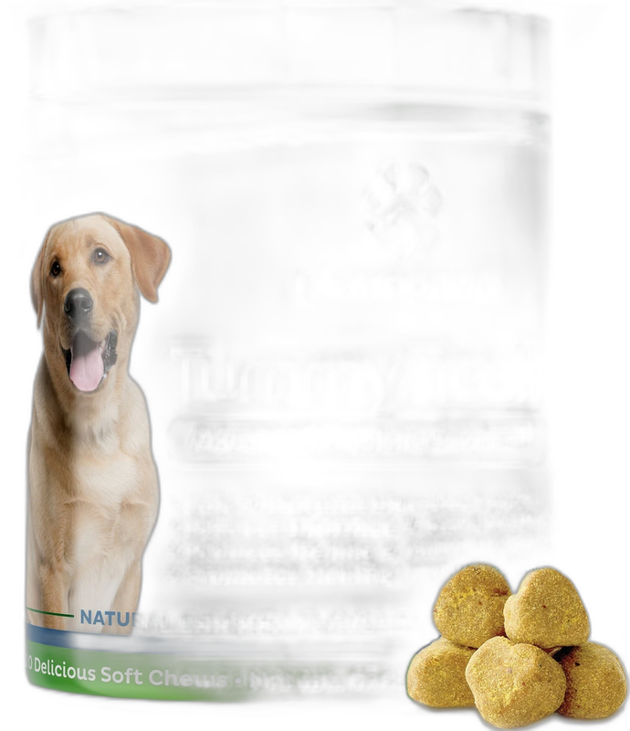 Plano Paws Tummy Treats Probiotic for Dogs