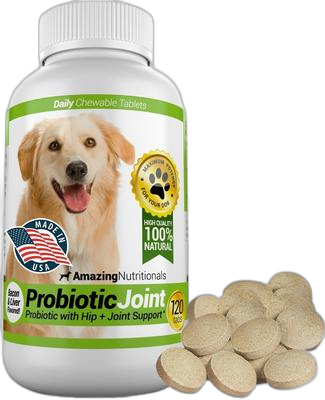 Amazing Nutritionals Probiotic Joint for Dogs