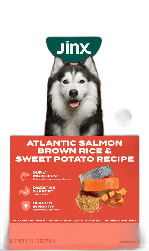 Jinx Premium Dry Dog Food, for All Lifestages - Real Salmon pet supplement