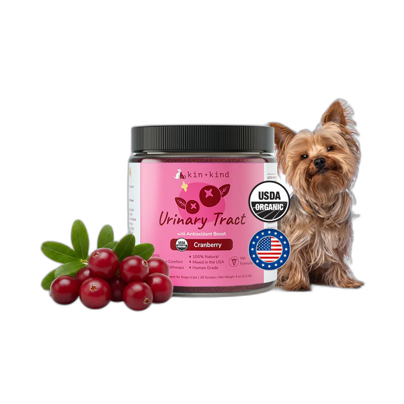 Kin+Kind Healthy Immunity Blueberry Cranberry pet supplement