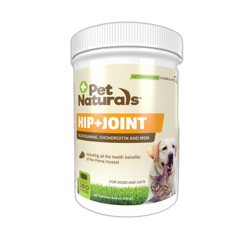 Solid Gold Digestive Probiotic Supplement for Dogs