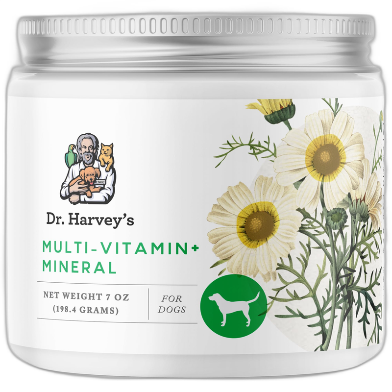 Solid Gold Gut Health Probiotic Powder for Dogs & Cats