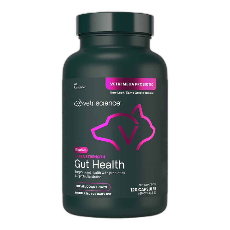 Under the Weather Ready Balance Probiotic for Dogs pet supplement