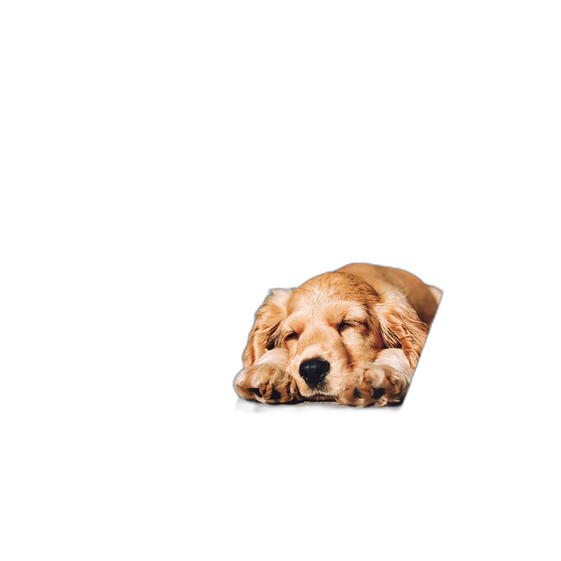 VetriScience Renal Essentials for Dogs