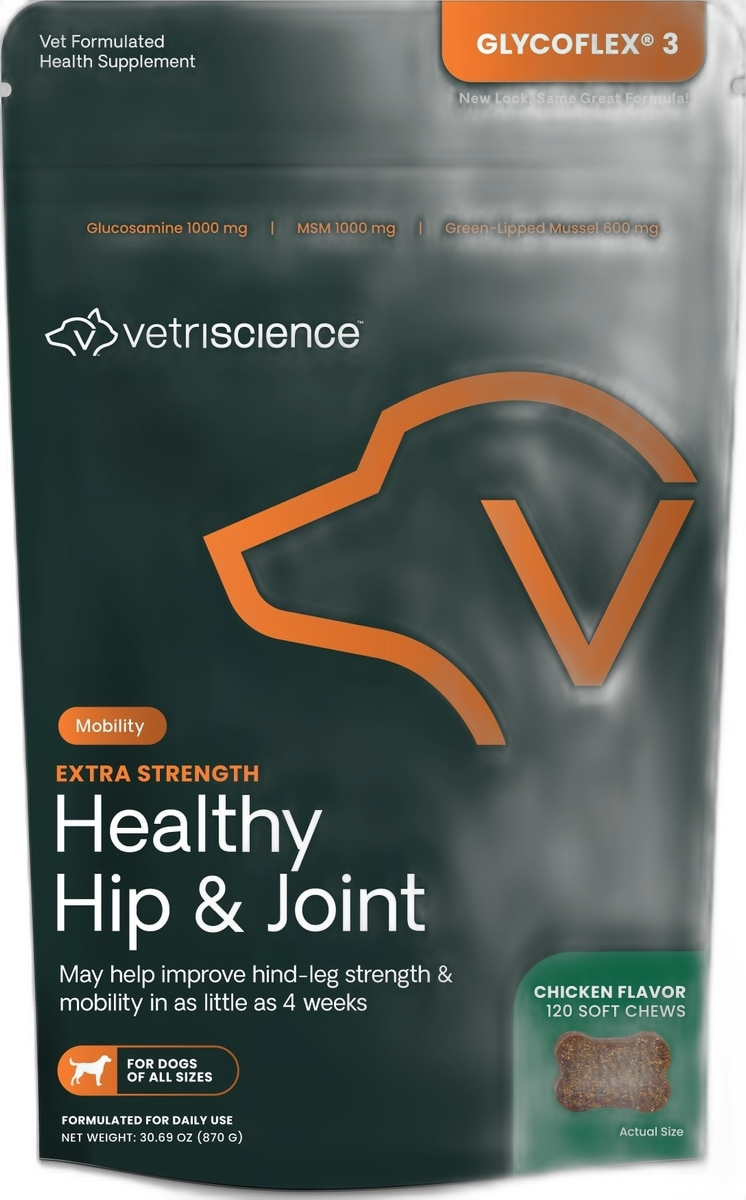 VetriScience Vetri Mega Probiotic for Dogs and Cats pet supplement