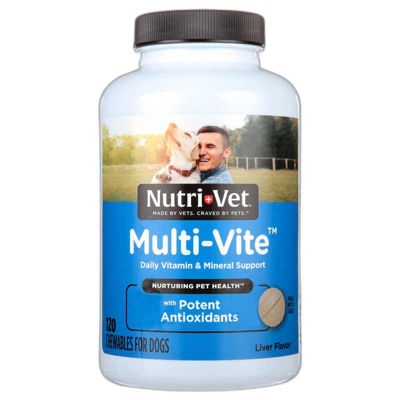 VetriScience Vetri Probiotic BD for Dogs